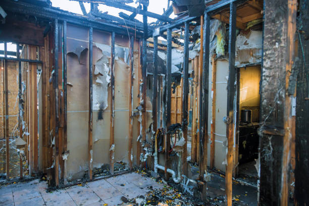 Professional Fire Damage Repair technician working in Jacksboro, TN